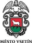 logo_vsetin