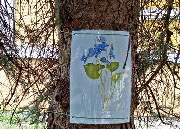 Letní měsíce v SIDEŘE