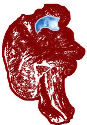 UŽITEČNOST TRANSDISCIPLINÁRNÍHO POJETÍ PSYCHOSOCIÁLNÍ PRÁCE