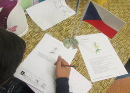 Sidera foto 2 únor 2016