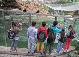 Výlet do ZOO Lešná