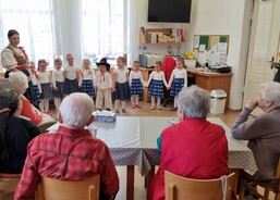 Společenské akce Magnolii