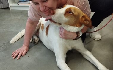 Návštěva „psí terapeutky“ Carmen 