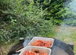 Opékání špekáčků