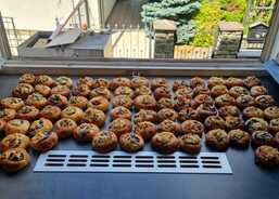 Společné aktivity seniorů