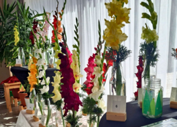 Letní měsíce v Magnolii