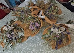 Letní měsíce v Magnolii