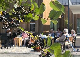 Letní měsíce v Magnolii