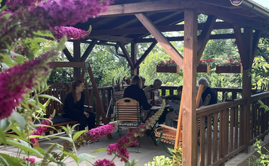 Poděkování našim dobrovolníkům